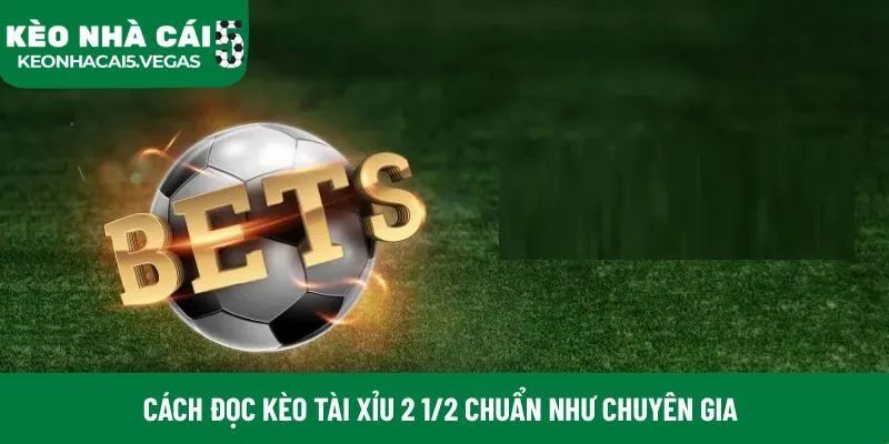 Cách đọc kèo tài xỉu 2 1/2 chuẩn như chuyên gia