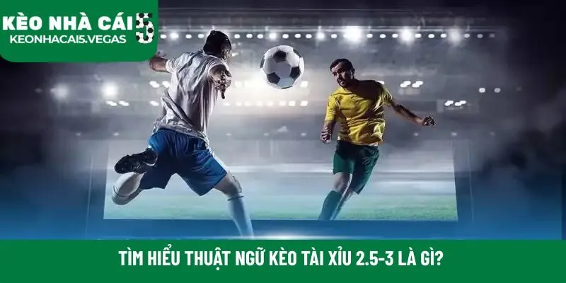 Tìm hiểu thuật ngữ kèo tài xỉu 2.5-3 là gì?